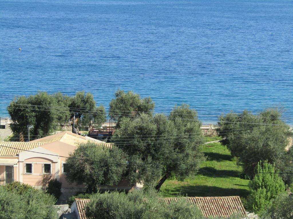 Barbati Beach Holiday Apartment Bagian luar foto